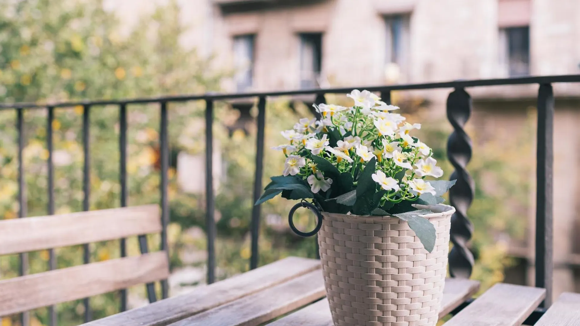 Apt 3 Cipres Girona